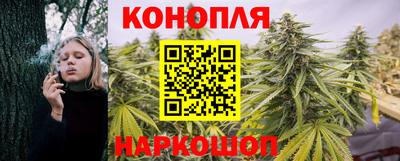 ешки Пугачёв