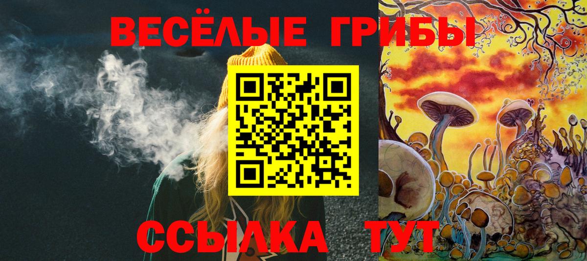 Галлюциногенные грибы прущие грибы Сосновый Бор
